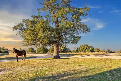 900 Fm 1948 W, Brenham, TX 77833 - Photo 43