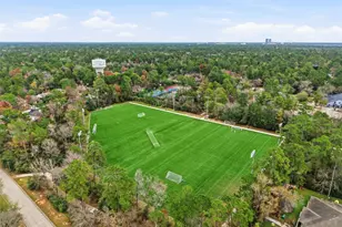 26 Eagle Rock Pl, The Woodlands, TX 77381 - Photo 47