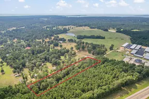 253 Pinckard Rd, Livingston, TX 77351 - Photo 5
