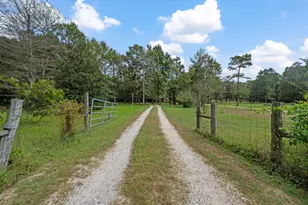 253 Pinckard Rd, Livingston, TX 77351 - Photo 7