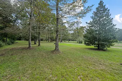253 Pinckard Rd, Livingston, TX 77351 - Photo 9