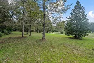 253 Pinckard Rd, Livingston, TX 77351 - Photo 9