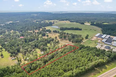 253 Pinckard Rd, Livingston, TX 77351 - Photo 5