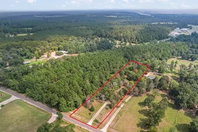 253 Pinckard Rd, Livingston, TX 77351 - Photo 3