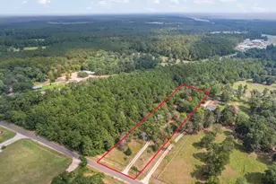 253 Pinckard Rd, Livingston, TX 77351 - Photo 3