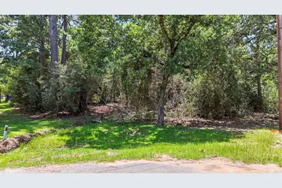 0 Redwood Lane, Magnolia, TX 77355 - Photo 5