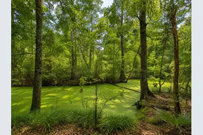 435 County Road 3310, Cleveland, TX 77327 - Photo 13