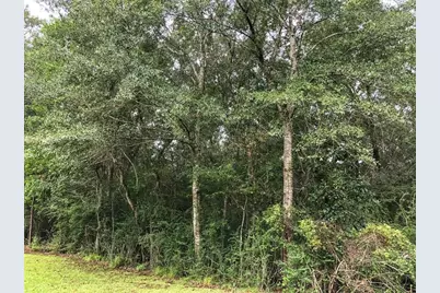 Lot 7 Blue Jay Drive, Kountze, TX 77625 - Photo 5