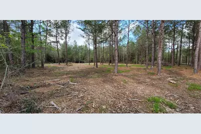 Lot 7 Blue Jay Drive, Kountze, TX 77625 - Photo 3