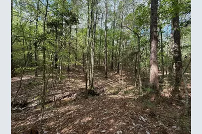 526 Mount Pisgah Road, Woodville, TX 75979 - Photo 13