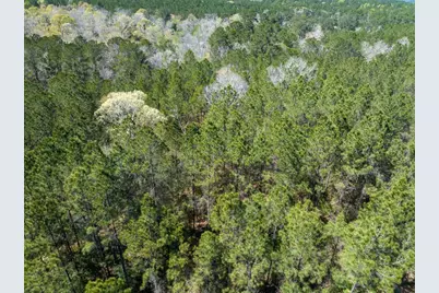 526 Mount Pisgah Road, Woodville, TX 75979 - Photo 5