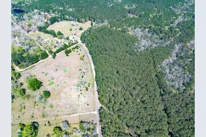 526 Mount Pisgah Road, Woodville, TX 75979 - Photo 9