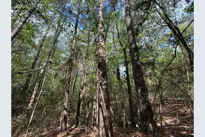 526 Mount Pisgah Road, Woodville, TX 75979 - Photo 15