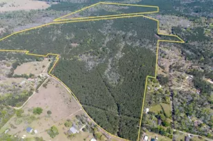 526 Mount Pisgah Rd, Woodville, TX 75979 - Photo 1