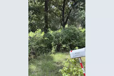 41502 S Buckhorn Lane, Magnolia, TX 77354 - Photo 7