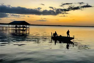 6930 W County Road 372, Jewett, TX 75846 - Photo 13