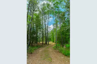 0 Ascot Farms, Magnolia, TX 77354 - Photo 5