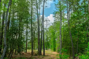 0 Ascot Farms, Magnolia, TX 77354 - Photo 5