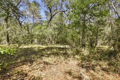 1132 County Road 112, Devers, TX 77538 - Photo 25