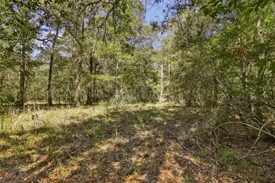 1132 County Road 112, Devers, TX 77538 - Photo 23