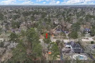 46 Hillock Woods, Spring, TX 77380 - Photo 47