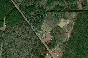 15981 FM 31, Marshall, TX 75672 - Photo 9