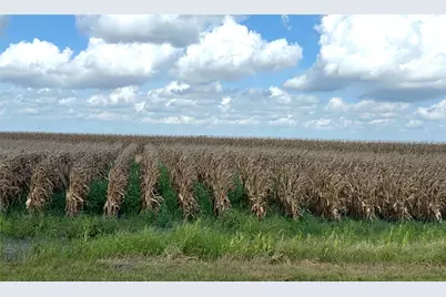 0 Fm 458, Midfield, TX 77458 - Photo 1