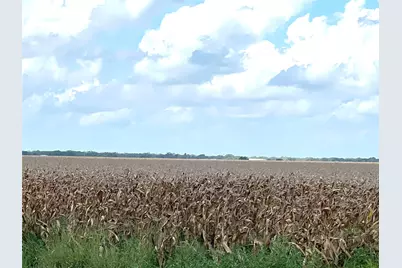 0 Fm 458, Midfield, TX 77458 - Photo 7