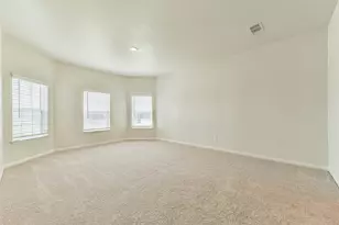 1123 Rare Fancy Dr, Iowa Colony, TX 77583 - Photo 19