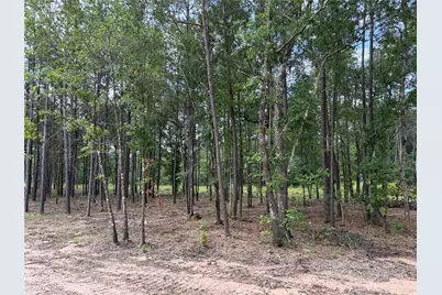13652 Armstrong Street, Conroe, TX 77303 - Photo 5