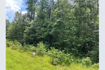 25420 Cambridge Boulevard, New Caney, TX 77357 - Photo 3