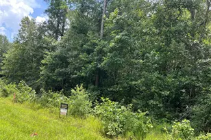 25420 Cambridge Blvd, New Caney, TX 77357 - Photo 3