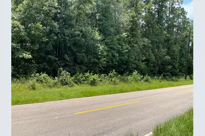 25420 Cambridge Boulevard, New Caney, TX 77357 - Photo 1