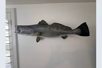 103 S T Head Drive, Seadrift, TX 77983 - Photo 21