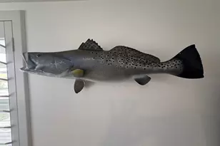 103 S T Head Dr, Seadrift, TX 77983 - Photo 21