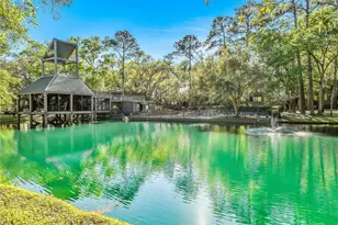 271 Litchfield Ln, Houston, TX 77024 - Photo 31