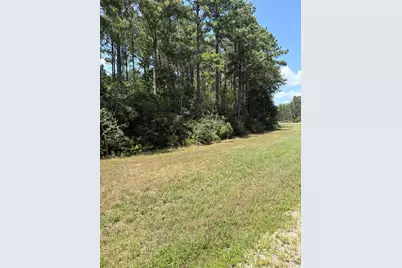 Lot 54 Grey Feather Road, Huntsville, TX 77340 - Photo 5