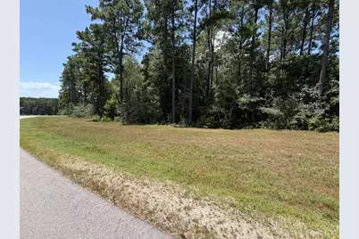 Lot 54 Grey Feather Road, Huntsville, TX 77340 - Photo 3