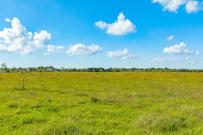 1682 Herring Road, Alvin, TX 77511 - Photo 19
