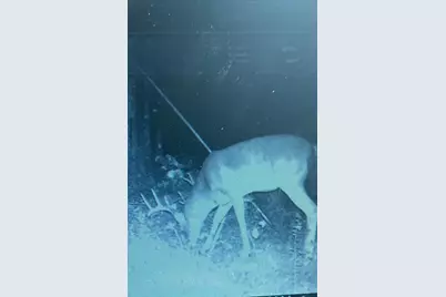 Na Kickapoo Road, Groveton, TX 75845 - Photo 5