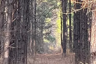 Na Kickapoo Rd, Groveton, TX 75845 - Photo 1