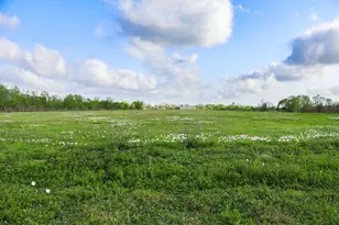 1115 E Fm 1462 Rd, Rosharon, TX 77583 - Photo 1