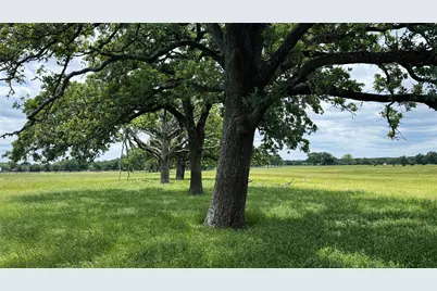 Tbd County Road 317, Rockdale, TX 76567 - Photo 19