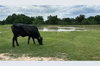Tbd County Road 317, Rockdale, TX 76567 - Photo 5
