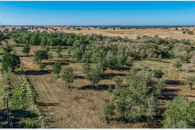 Tbd Walter Hoffman Road, Cedar Creek, TX 78612 - Photo 41