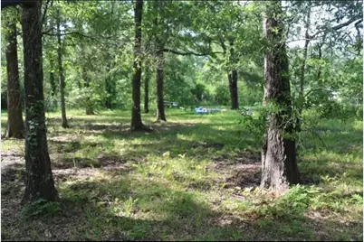 211 Panther Lane, Livingston, TX 77351 - Photo 3