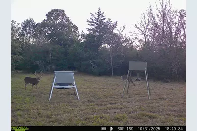 000 Burns Road, Midway, TX 75852 - Photo 25