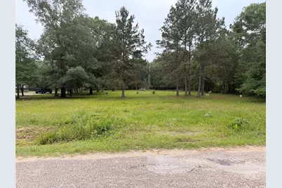 0 Forest Trl, Conroe, TX 77306 - Photo 3