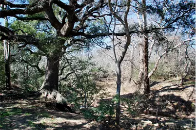 652 County Road 210, Hallettsville, TX 77964 - Photo 31