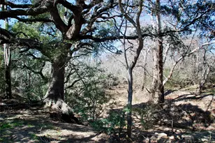 652 Co Rd 210, Hallettsville, TX 77964 - Photo 31